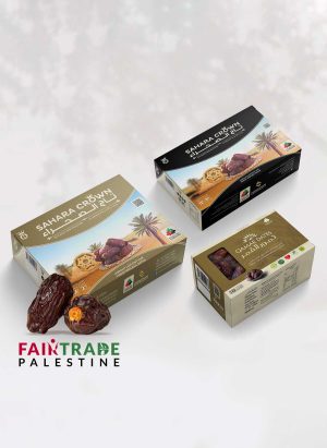 medjoul-dadels-kopen-uit-Palestina