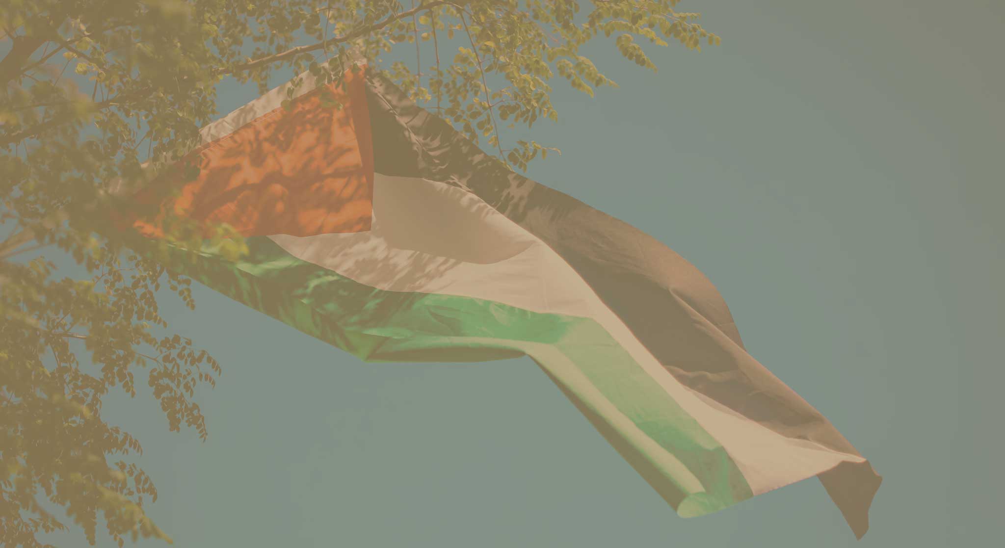 Nabulsi Kufiya - Zwart/Wit