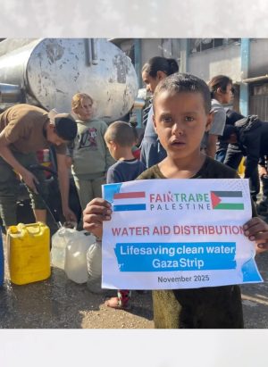 doneren aan gaza water voedsel en noodhulp printed palestine